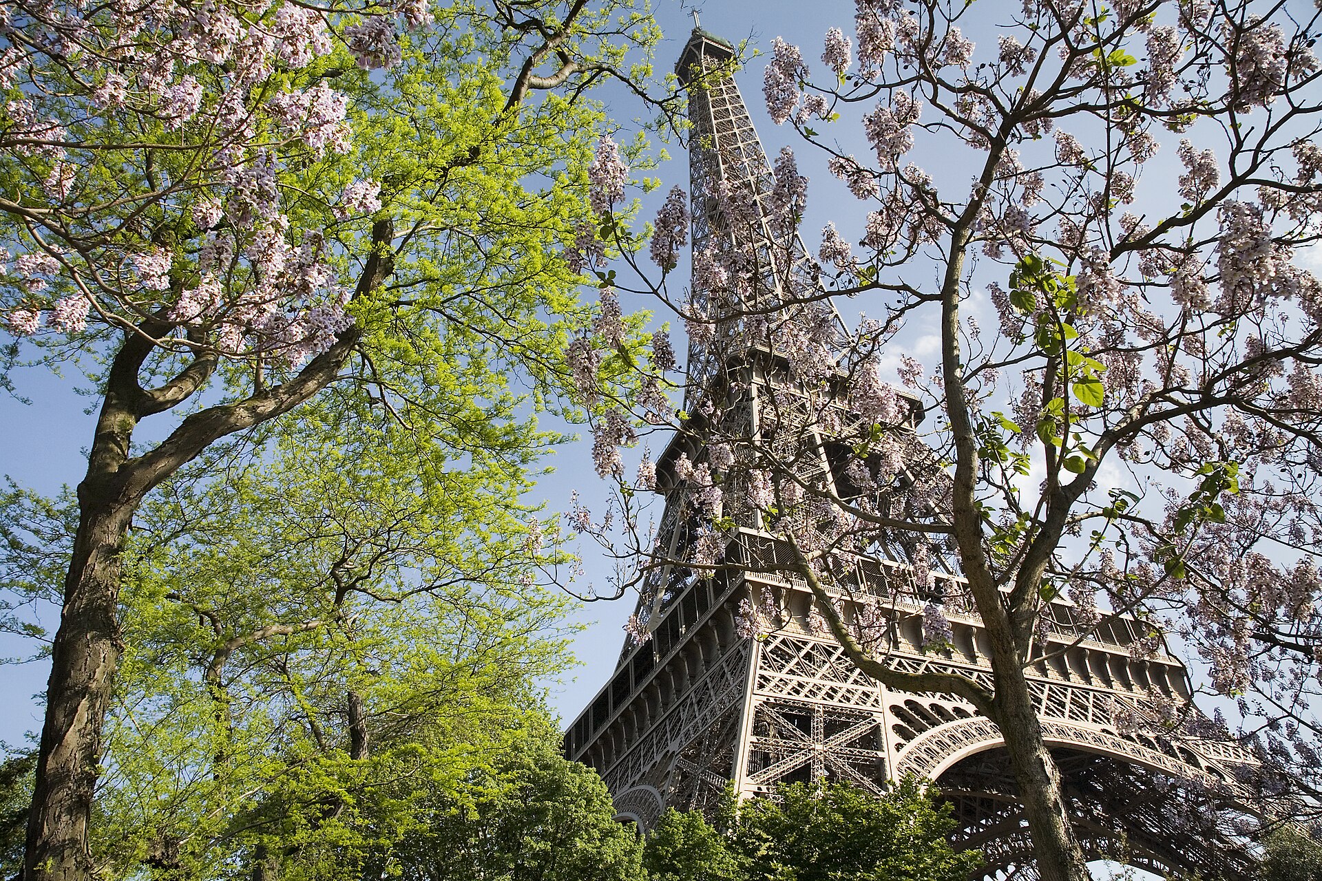 The Eiffel Tower, Paris, France