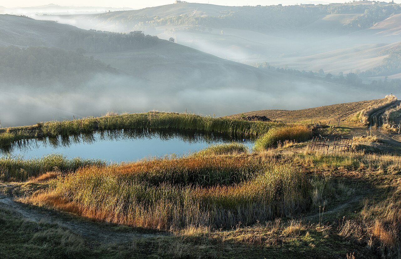 Morning mist over the Crete Senesi, Tuscany